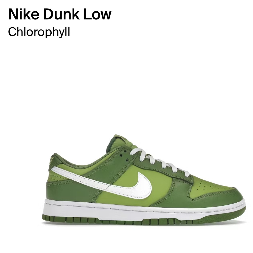 Nike Dunk size 11